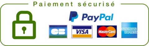 payment