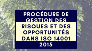 Procédure de gestion des risques et des opportunités dans l'ISO 14001 2015 7 Procédure de gestion des risques et des opportunités dans ISO 14001 2015