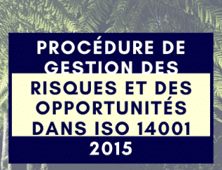 Procédure de gestion des risques et des opportunités dans ISO 14001 2015