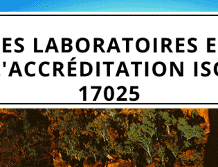 10 étapes simples pour obtenir la certification ISO 9001