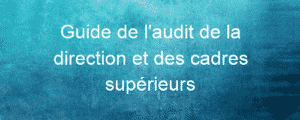 Guide de l'audit de la direction et des cadres supérieurs 6 guide de laudit de la direction et des cadres superieurs 26042 1