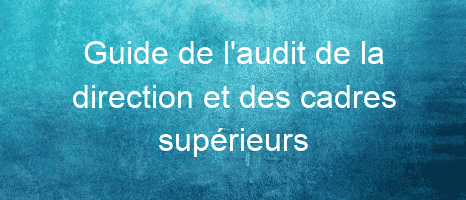 guide de laudit de la direction et des cadres superieurs 26042 1