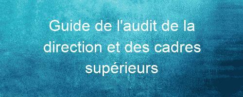 guide de laudit de la direction et des cadres superieurs 26042 1