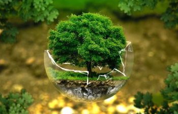 Les exigences de l'iso 14001 version 2015