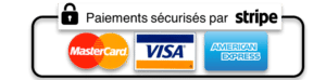 paiement securise stripe plat